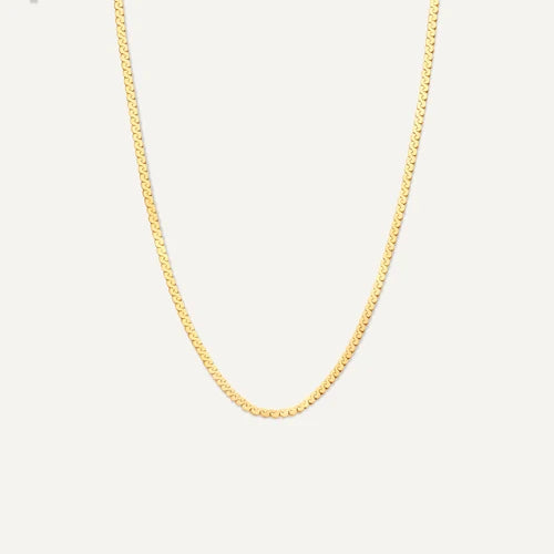 Snake Chain - Luxury Collection